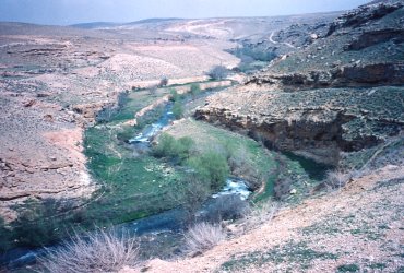 The Oronte spring