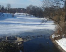 Vigeland Park